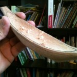 modelcanoestep4_512